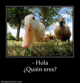 - Hola ¿Quién eres?