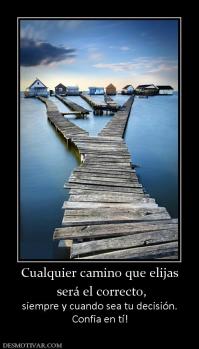 Cualquier camino que elijas  será el correcto, siempre y cuando sea tu decisión. Confia en tí!
