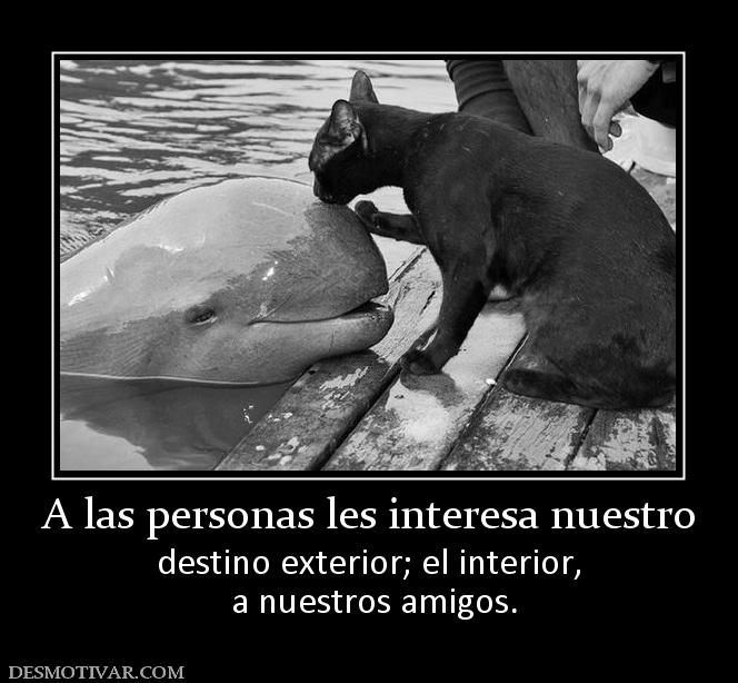 A las personas les interesa nuestro destino exterior; el interior,  a nuestros amigos.