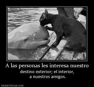 A las personas les interesa nuestro destino exterior; el interior,  a nuestros amigos.