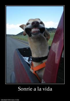 Sonríe a la vida