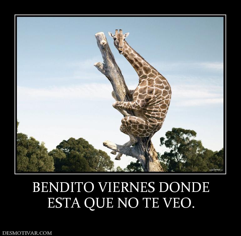 BENDITO VIERNES DONDE ESTA QUE NO TE VEO.