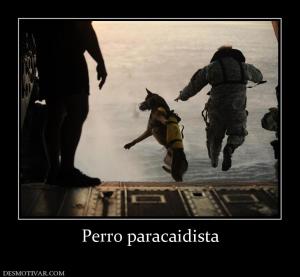 Perro paracaidista