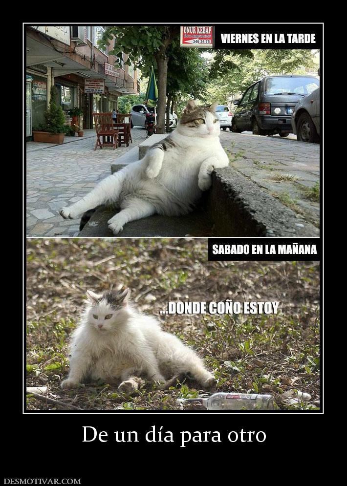 De un día para otro