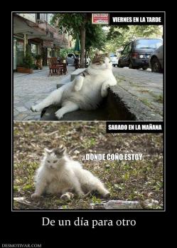 De un día para otro