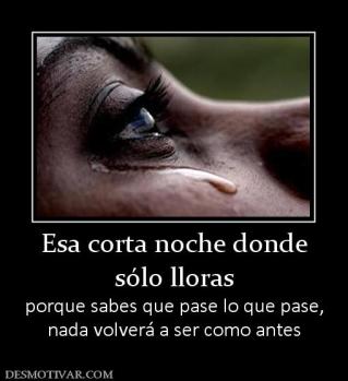 Esa corta noche donde sólo lloras porque sabes que pase lo que pase, nada volverá a ser como antes