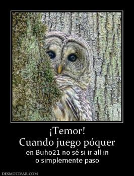 ¡Temor! Cuando juego póquer  en Buho21 no sé si ir all in o simplemente paso