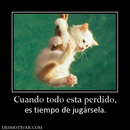 Cuando todo esta perdido, es tiempo de jugársela.