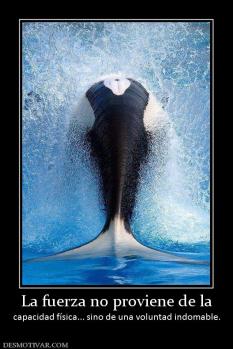 La fuerza no proviene de la capacidad física... sino de una voluntad indomable.