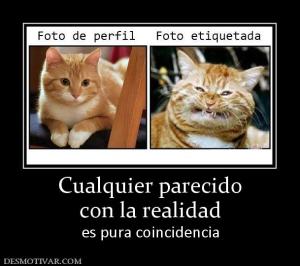 Cualquier parecido con la realidad es pura coincidencia