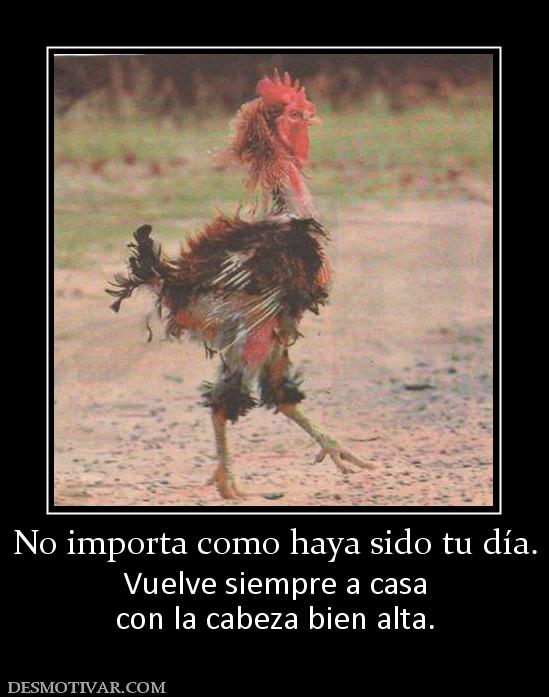 No importa como haya sido tu día. Vuelve siempre a casa con la cabeza bien alta.
