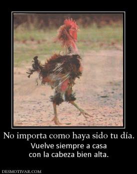 No importa como haya sido tu día. Vuelve siempre a casa con la cabeza bien alta.