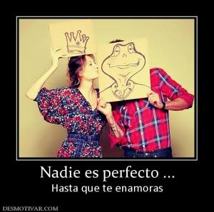 Nadie es perfecto ... Hasta que te enamoras