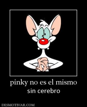 pinky no es el mismo sin cerebro