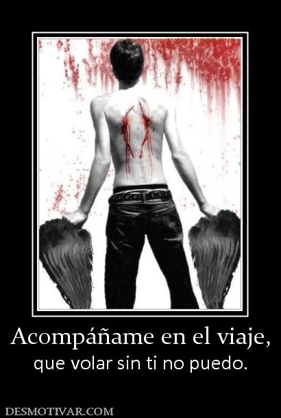 Acompáñame en el viaje, que volar sin ti no puedo.
