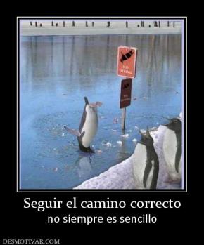 Seguir el camino correcto no siempre es sencillo