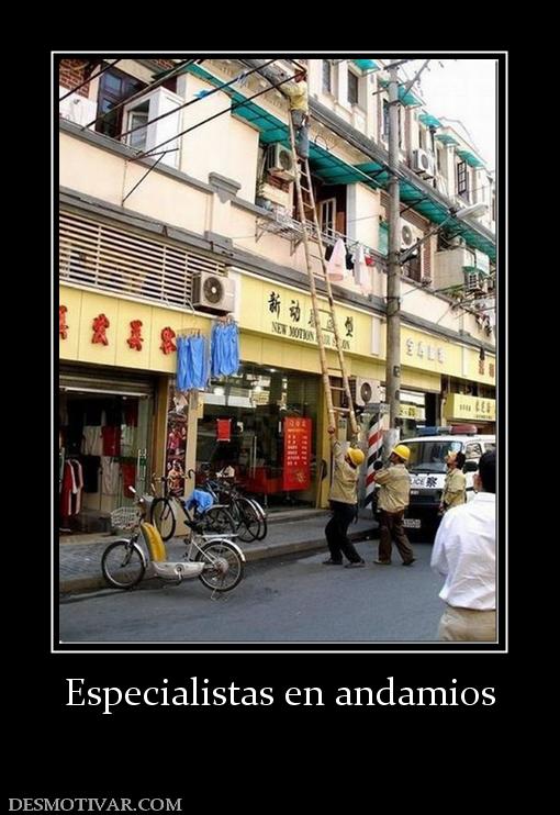 Especialistas en andamios