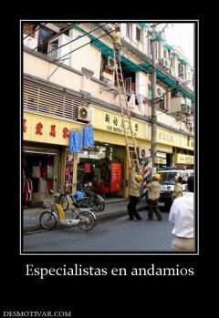 Especialistas en andamios