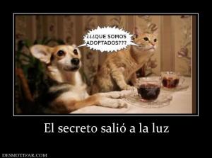 El secreto salió a la luz