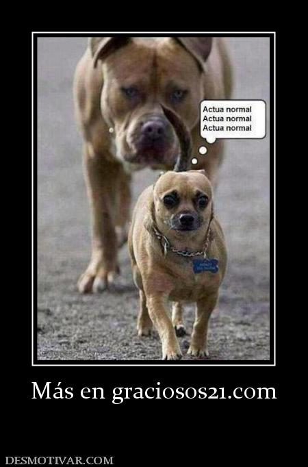 Más en graciosos21.com