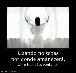 Cuando no sepas por donde amanecerá,  abre todas las ventanas