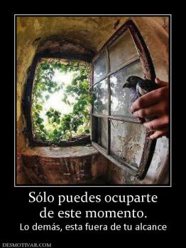 Sólo puedes ocuparte de este momento. Lo demás, esta fuera de tu alcance