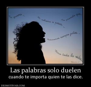 Las palabras solo duelen cuando te importa quien te las dice.