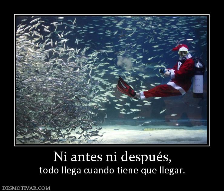 Ni antes ni después, todo llega cuando tiene que llegar.