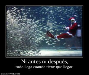 Ni antes ni después, todo llega cuando tiene que llegar.