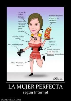 LA MUJER PERFECTA según Internet