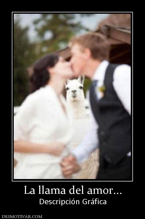 La llama del amor... Descripción Gráfica