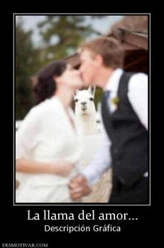 La llama del amor... Descripción Gráfica