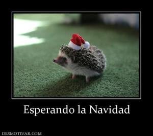 Esperando la Navidad