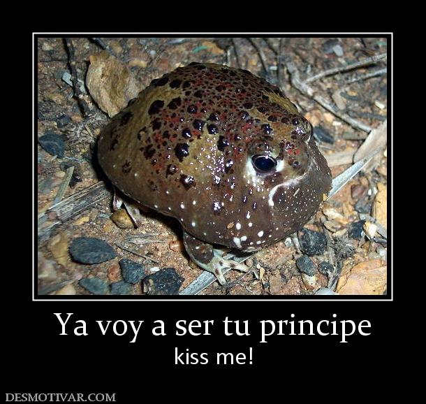 Ya voy a ser tu principe kiss me!