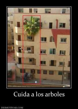 Cuida a los arboles