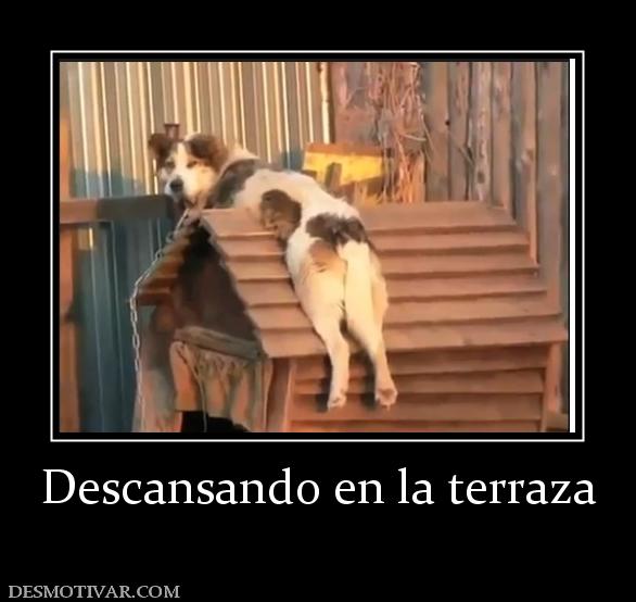 Descansando en la terraza