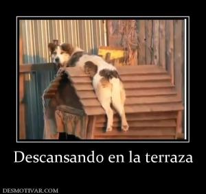 Descansando en la terraza