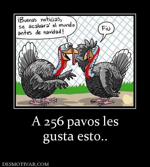 A 256 pavos les gusta esto..