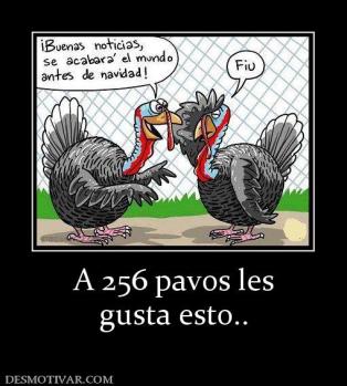 A 256 pavos les gusta esto..