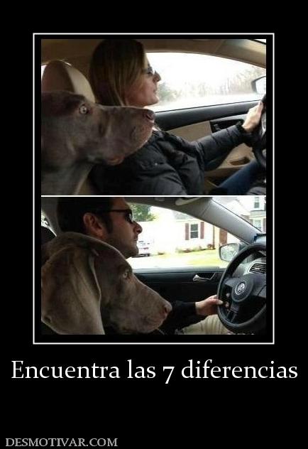 Encuentra las 7 diferencias