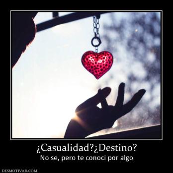 ¿Casualidad?¿Destino? No se, pero te conoci por algo