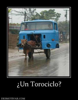 ¿Un Torociclo?