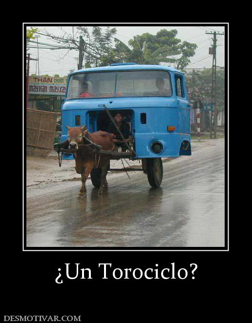 ¿Un Torociclo?