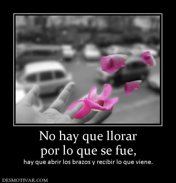 No hay que llorar por lo que se fue, hay que abrir los brazos y recibir lo que viene.