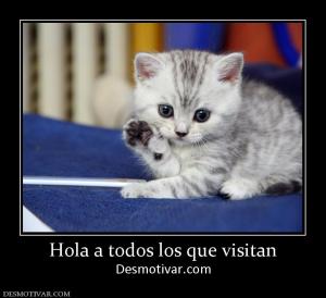 Hola a todos los que visitan Desmotivar.com