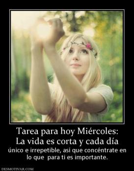 Tarea para hoy Miércoles: La vida es corta y cada día único e irrepetible, así que concéntrate en lo que  para ti es importante.