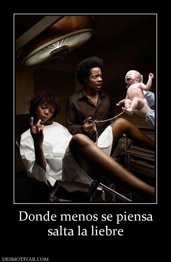 Donde menos se piensa salta la liebre