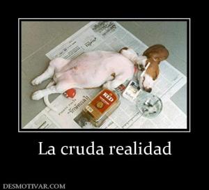La cruda realidad