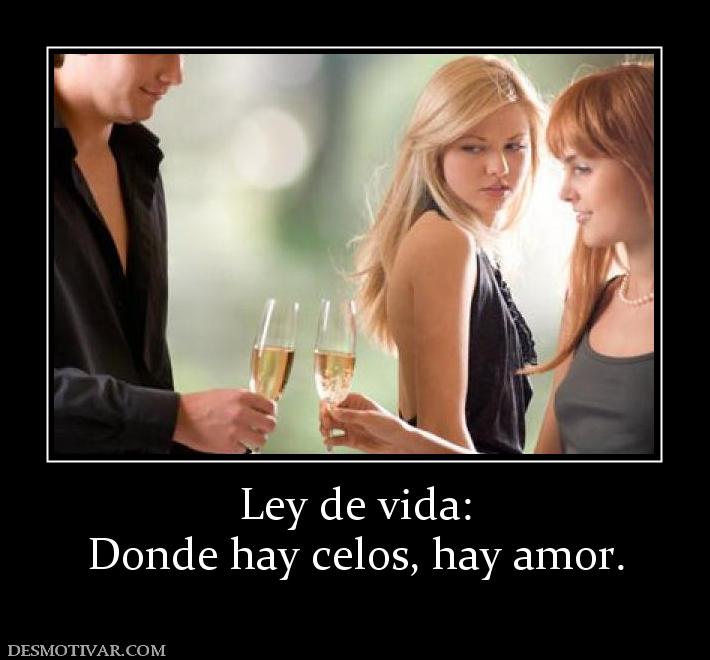 Ley de vida: Donde hay celos, hay amor.