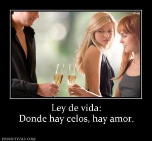 Ley de vida: Donde hay celos, hay amor.